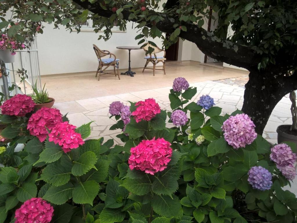 Apartmani Frlan Ii. Kastav Εξωτερικό φωτογραφία
