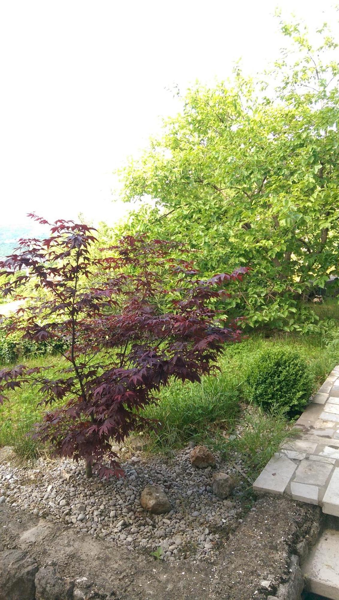 Apartmani Frlan Ii. Kastav Εξωτερικό φωτογραφία